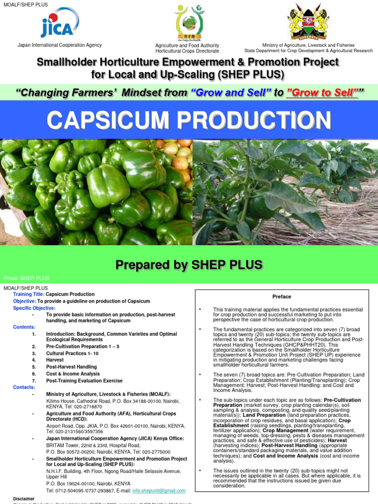 Capsicum Production Guidelines in Kenya | PDF | Plant Nursery | Compost