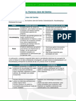 Andamio Descriptivo. Factores Clave Del Gemba