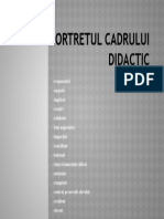 Portretul Cadrului Didactic