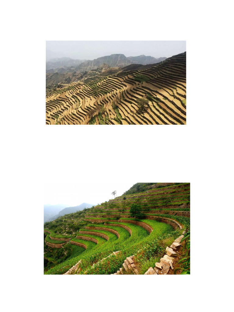 استصلاح الاراضي الزراعية | PDF