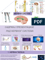 Nervni Sistem