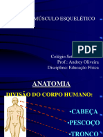 Orientacoes para Estudo Das Provas de Recuperacao Bimestral II Bimestre Edc Fisica 6 Ano 21-06-2016