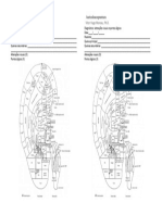 Ficha de Avaliação de Auriculoterapia