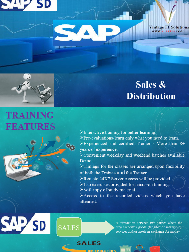 SAP SD Module Training Overview 2021 | PDF