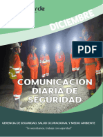 Comunicacion Diaria de Seguridad - DICIEMBRE