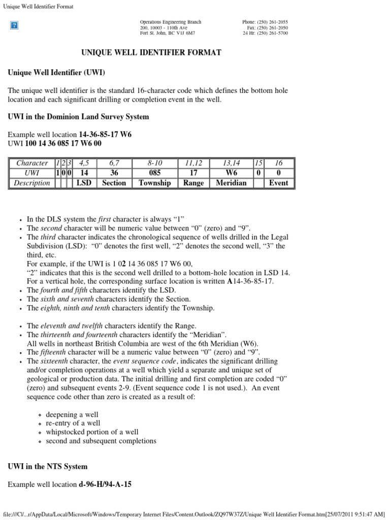 Unique Well Identifier Format Guide | PDF | Computing | Software
