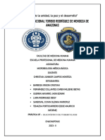 Informe 7