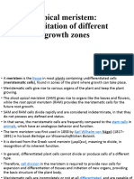 03 - Apical Meristem-Delimitation of Different Growth Zones