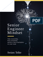 Senior Engineer Mindset