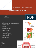 Дигестивен систем кај човекот