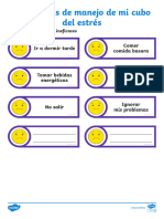 Estrategias de Manejo de Mi Cubo Del Estrés