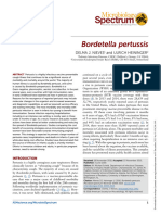 Nieves Et Al 2016 Bordetella Pertussis