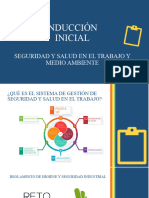 Inducción Incial SST