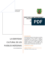 La Identidad Cultural de Los Pueblos Indígenas