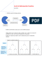 Replicación de La Información Genética CLASE 31-10-23