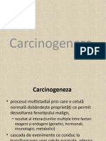 2.carcinogeneza 2019