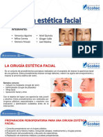 Cirugia Estetica Facial