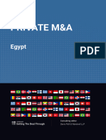 Egypt's Private M&A