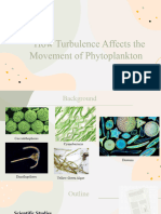 Affect of Turbulence On Phytoplankton Presentation