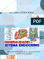 Copia de Azul Sistema Endocrino. 3.3