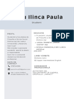 CV Sîrbu Ilinca Paula 2