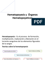 Hematopoyesis - Organos Hematopoyeticos