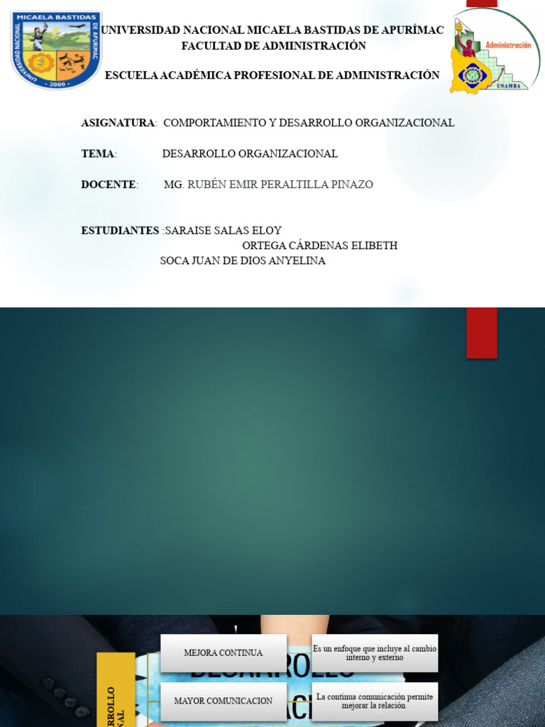 Desarrollo Organizacional | PDF | Business | Negocios económicos