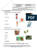 7th Diagnostic Exam Adaptación Grado 2