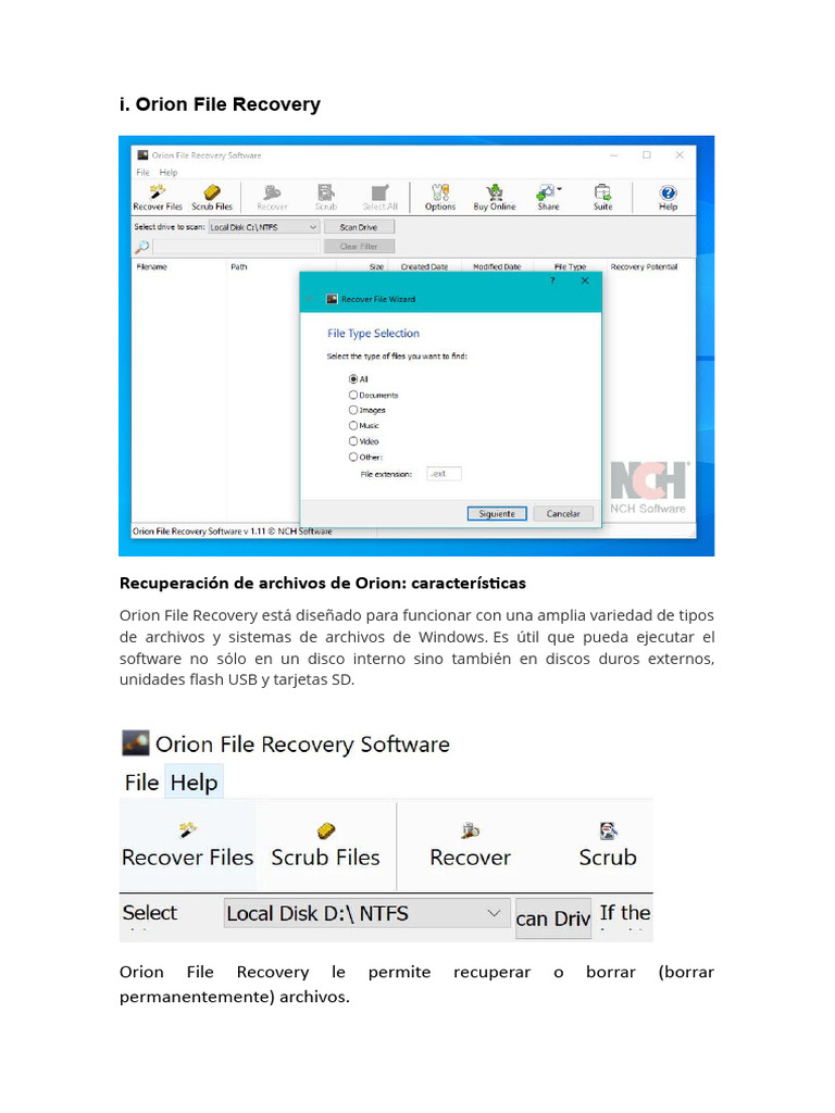 I. Orion File Recovery | PDF