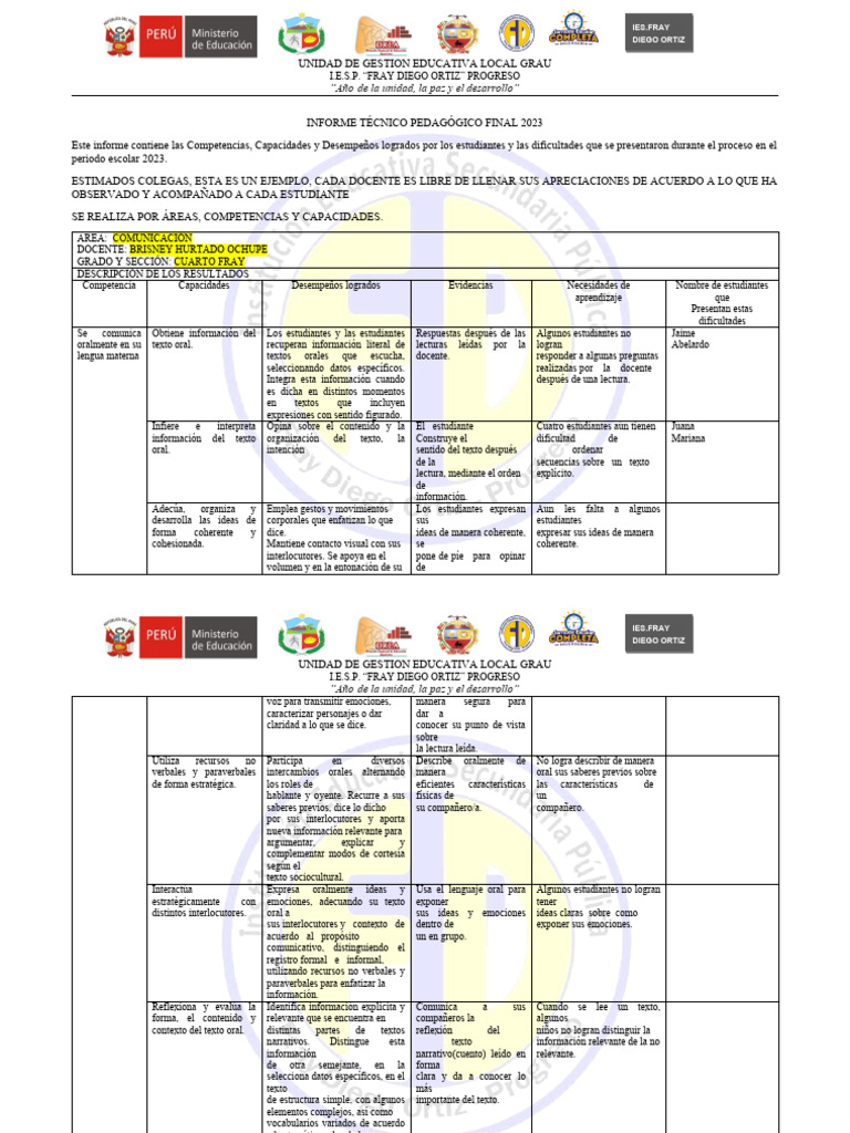 Informe Técnico Pedagógico 2023 | PDF | Comunicación | Información