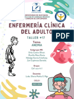 Taller 17 Enf. Clínica Del Adulto Ug