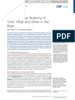 Gyorgy Buzsáki - The Functional Anatomy of Time: What and When in The Brain - J.tics.2016.05.001