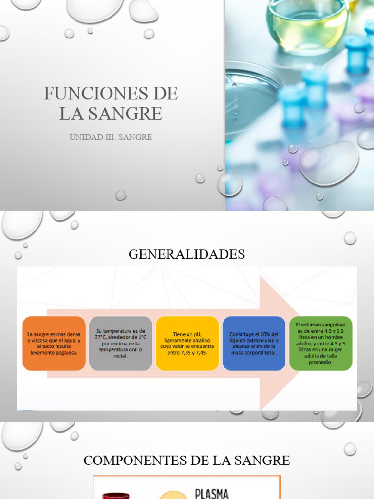 Funciones De La Sangre Pdf Leucocito Glóbulo Rojo
