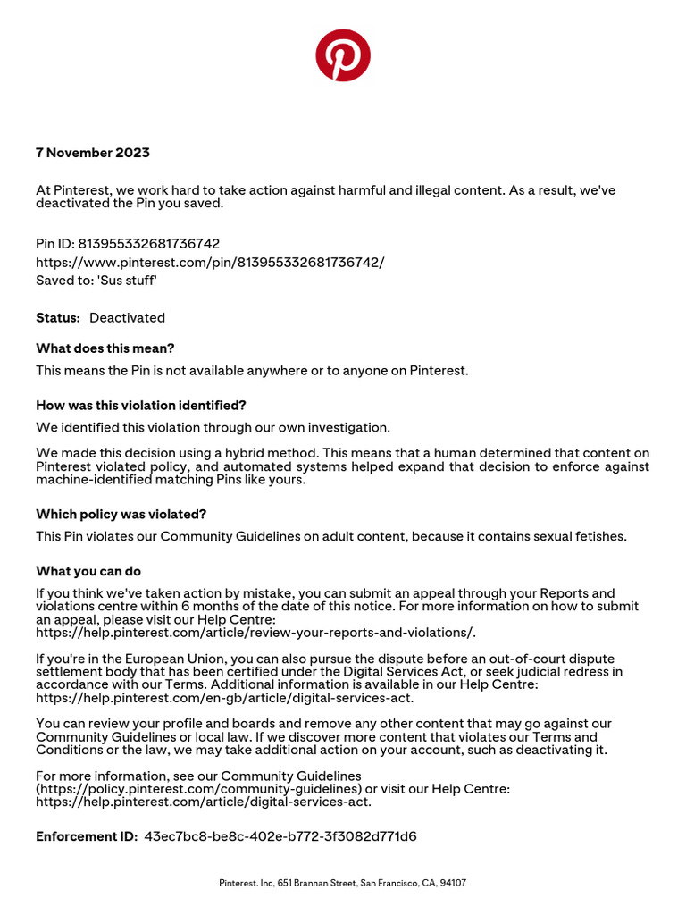 Statement of Reasons Report | PDF