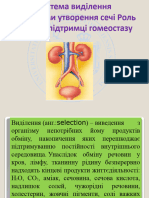 Лекція система виділення