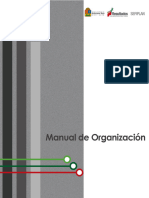 Manual de Organizacion 2016 Ok