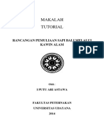 Makalah Tutorial: Rancangan Pemuliaan Sapi Bali Melalui Kawin Alam