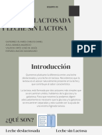 Presentacion Leches Deslactosada y Sin Lactosa