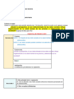 Texto Argumentativo Esquema y Redaccion