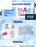 Infecciones Del Tracto Urinario1