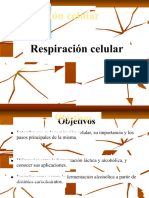 Respiración Celular 2023