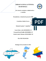 Copia de Proyecto Final - Grupo 7 Argentina. Formulación de Proyectos