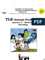 AFA Animal Production 9 Q2W1 1