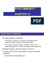 Bio732 Chapter 16 - Adaptive Immunity