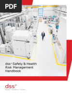 DSS+ SH Risk Management Handbook