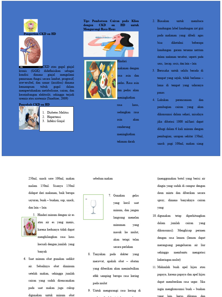 Panduan Diet untuk CKD on HD | PDF