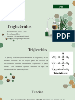 Trigliceridos 3