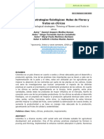 Anexo 1. Plantilla para Presentación de Artículo de Revisión 11