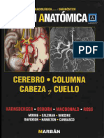 Imagen Anatomica 3 - Columna Vertebral