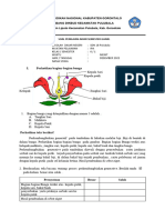 Soal AKM IPA Kelas VI Tahun 2022-2023